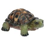 Каталог сувениров черепах в Липецке