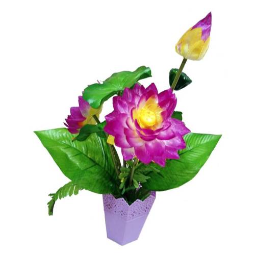 Цветы в горшке Лотосы (кувшики) купить в 55опторг (АВС0862) по цене 343 ...