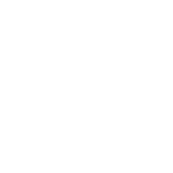 -30% на искусственные цветы