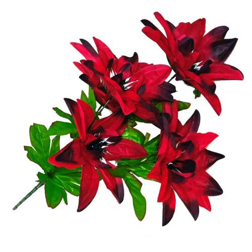Каталог цветов бордовых цветов в Камышине