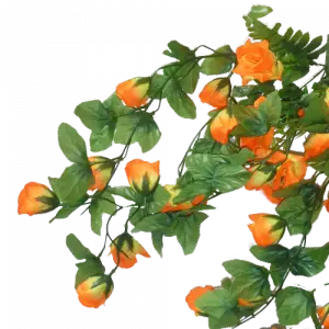 Свисающая зелень (ампельные цветы)