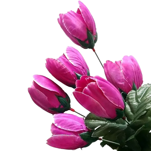 Тюльпаны Оптом: Прекрасный тюльпан 2024
