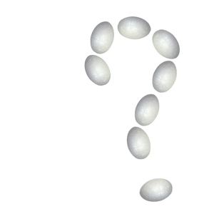 Почему подорожали яйца в России?