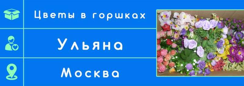 Цветы в горшках отправлены в Москву