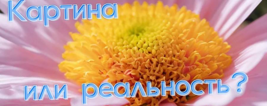 картинка с искусственными цветами